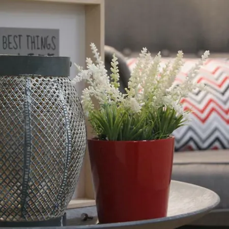 Ilarcuris Con Patio Privado